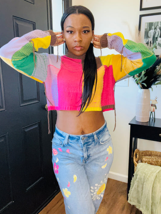 Multi Color Crop Sweater